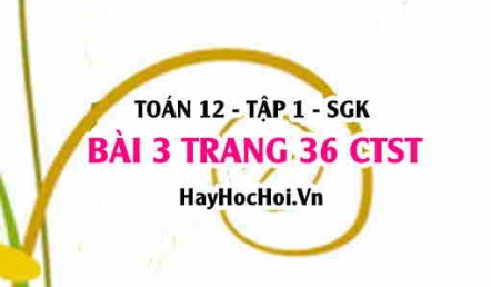 Bài 3 trang 36 Toán 12 tập 1 Chân trời sáng tạo